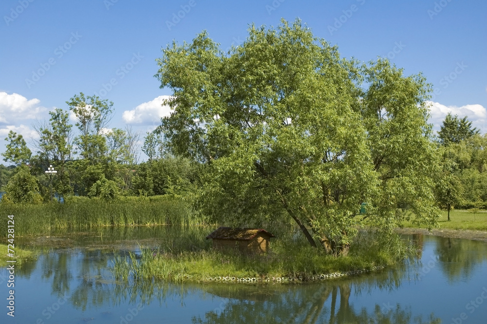 Island on a pond