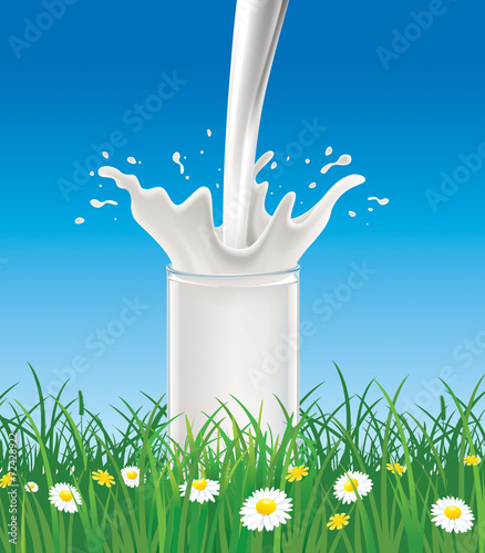 fresh milk pouring into glass in grass with blooming chamomiles