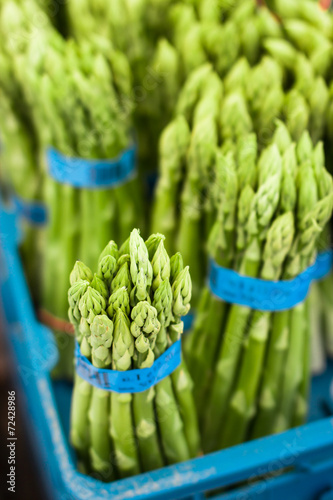 Grüner badischer Spargel photo