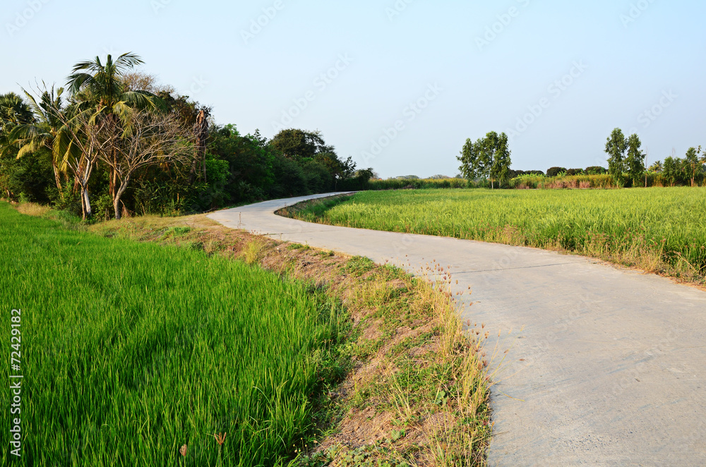 curve of the road