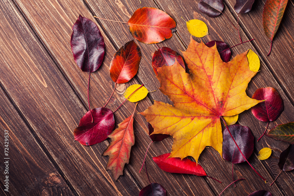 Autumn leaves Autumn leaves