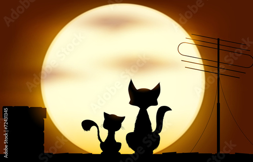 Two cats on the roof