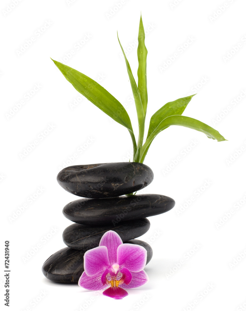 Fototapeta premium Zen pebbles balance. Spa and healthcare concept.