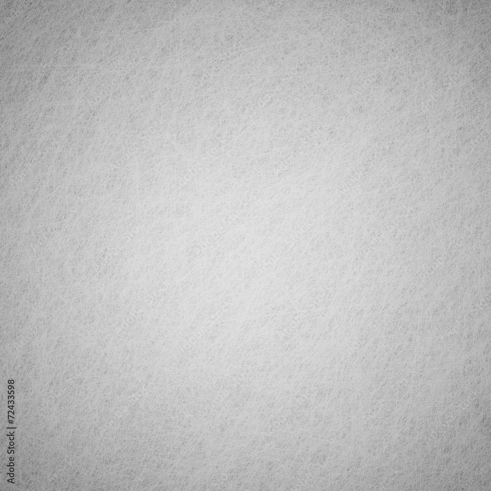 Fototapeta premium Highly detailed background