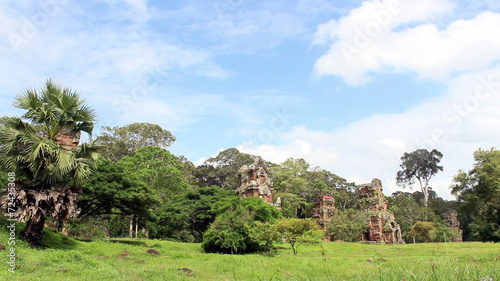 anghor wat tree and stone