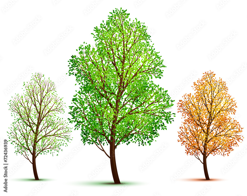 Vector tree