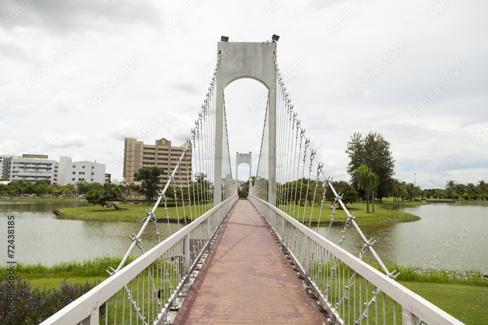 Fototapeta premium rope bridge