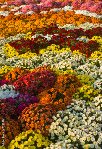 flower arrangement