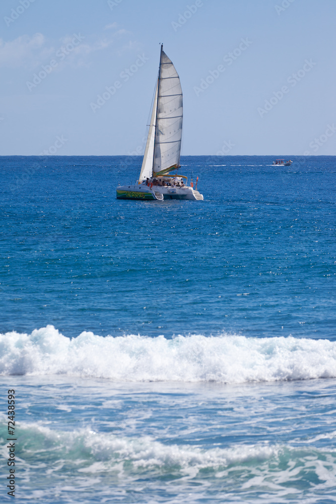 Naklejka premium catamaran