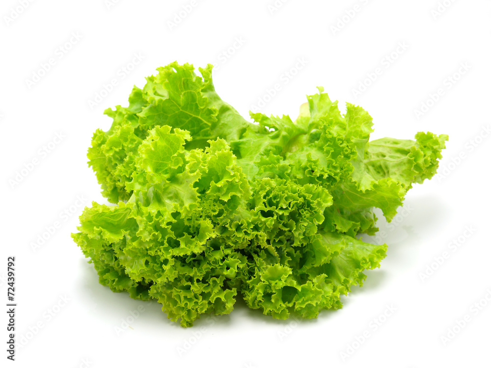 Lettuce Lettuce