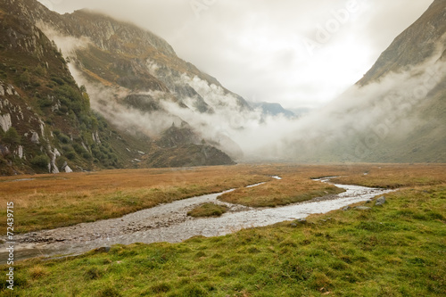 Misty in the Alps photo