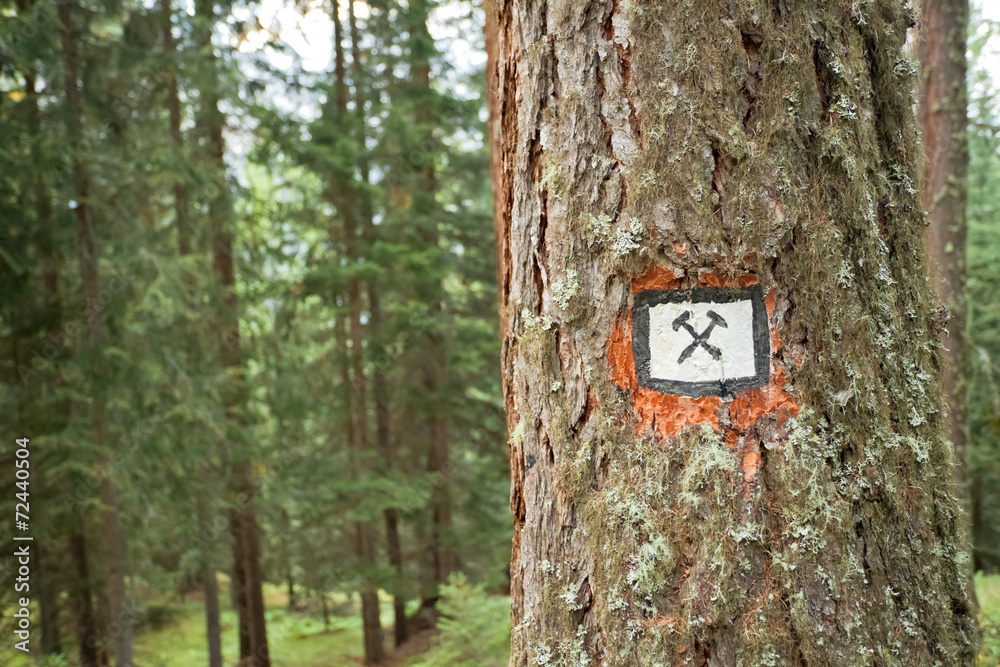 Fototapeta premium Path sign