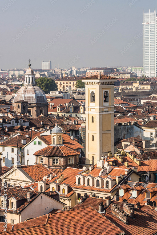 The roofs of Turin