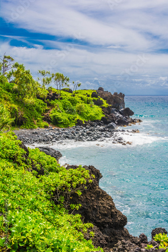 The vegetation on the pebble beach, Wai'anapanapa, Maui