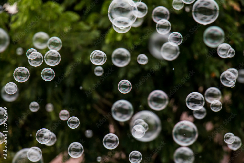 Beautiful soap bubble abstract backgrounds