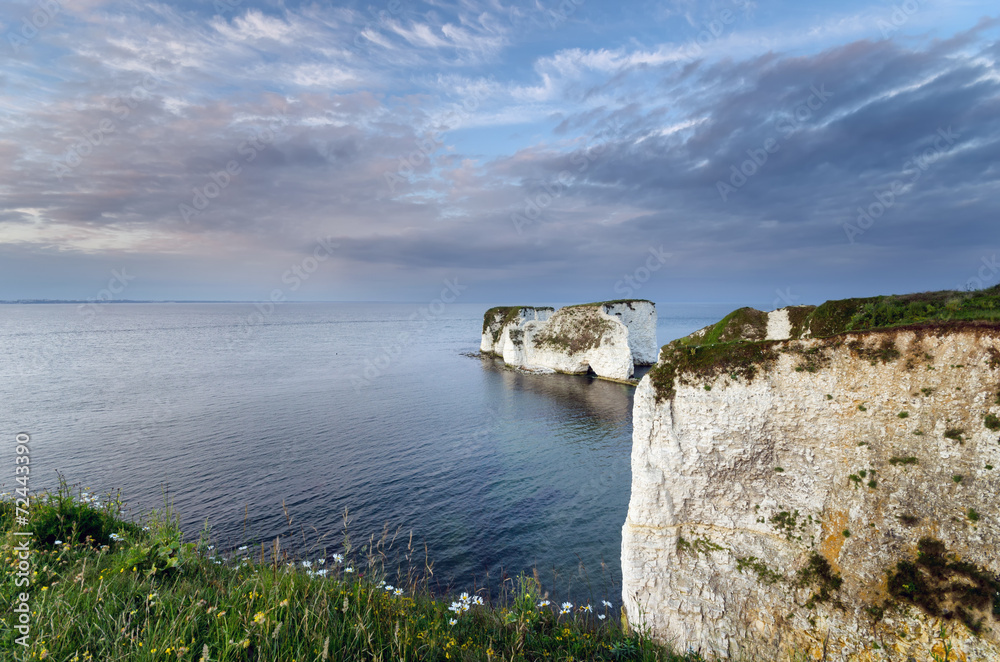 Old Harry Rocks