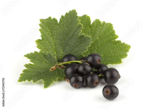 Black currant with green leafs isolated on white background clos