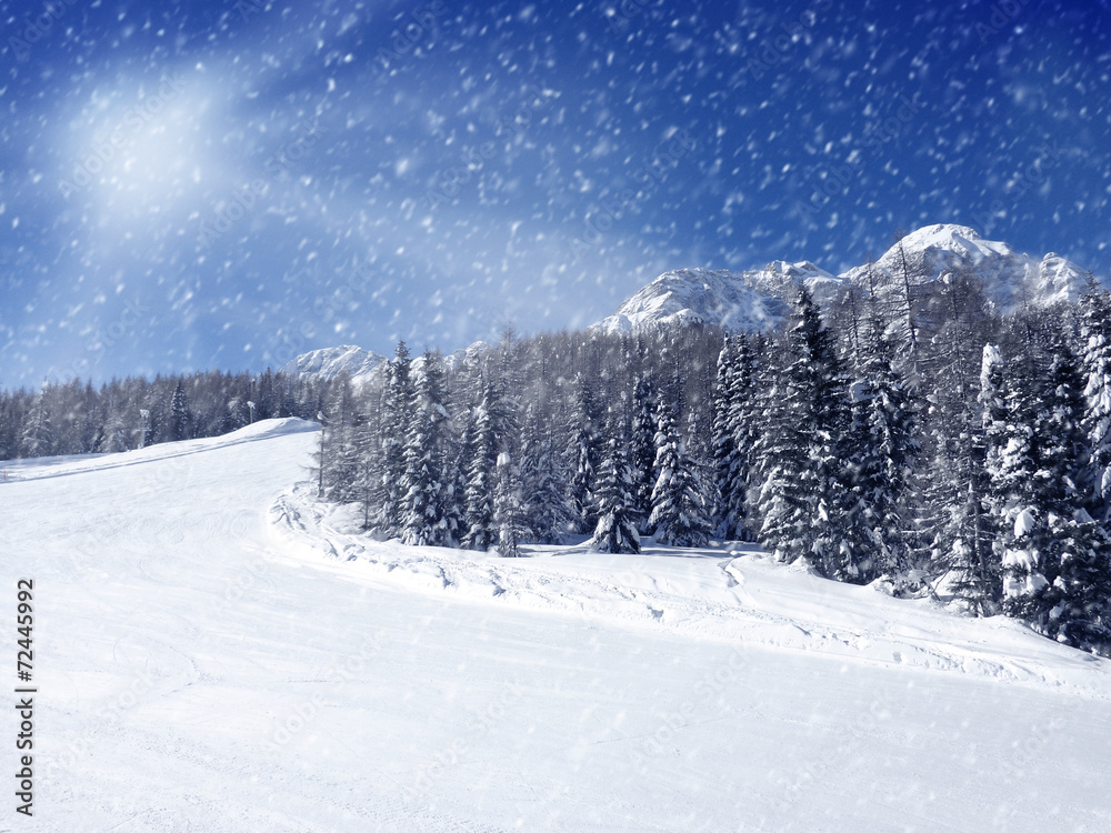Obraz premium Winter Landscape