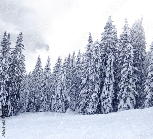 Winter Landscape © linda_vostrovska