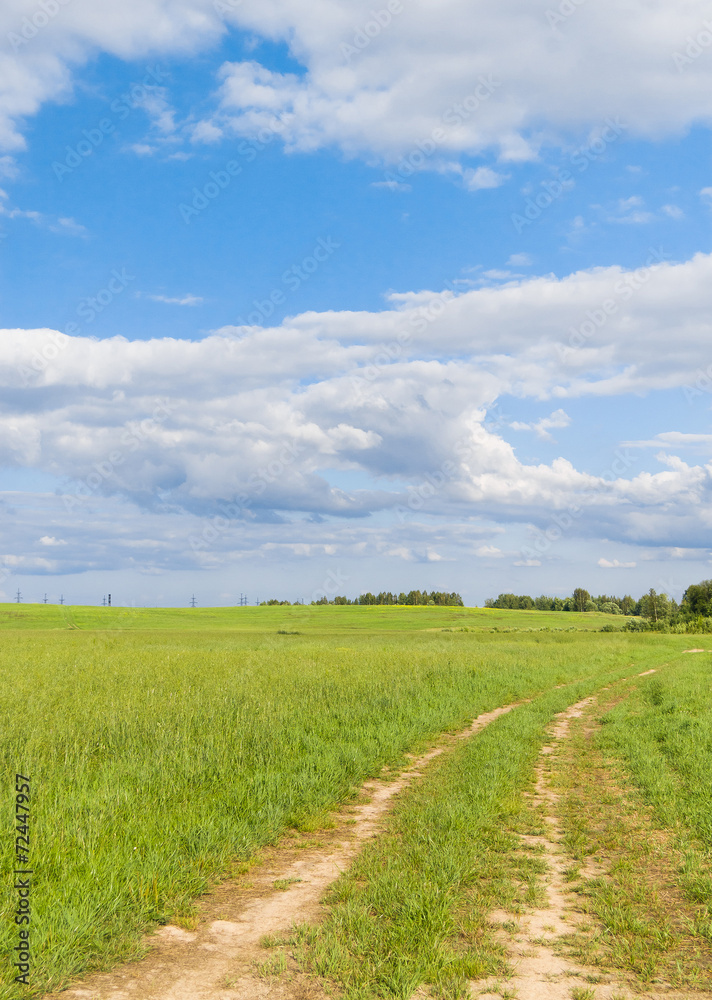 Way Ahead Fields of Sunlight Way Ahead Fields of Sunlight