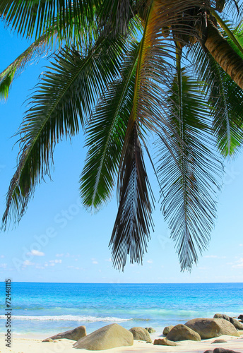 Overhanging Exotic Beach