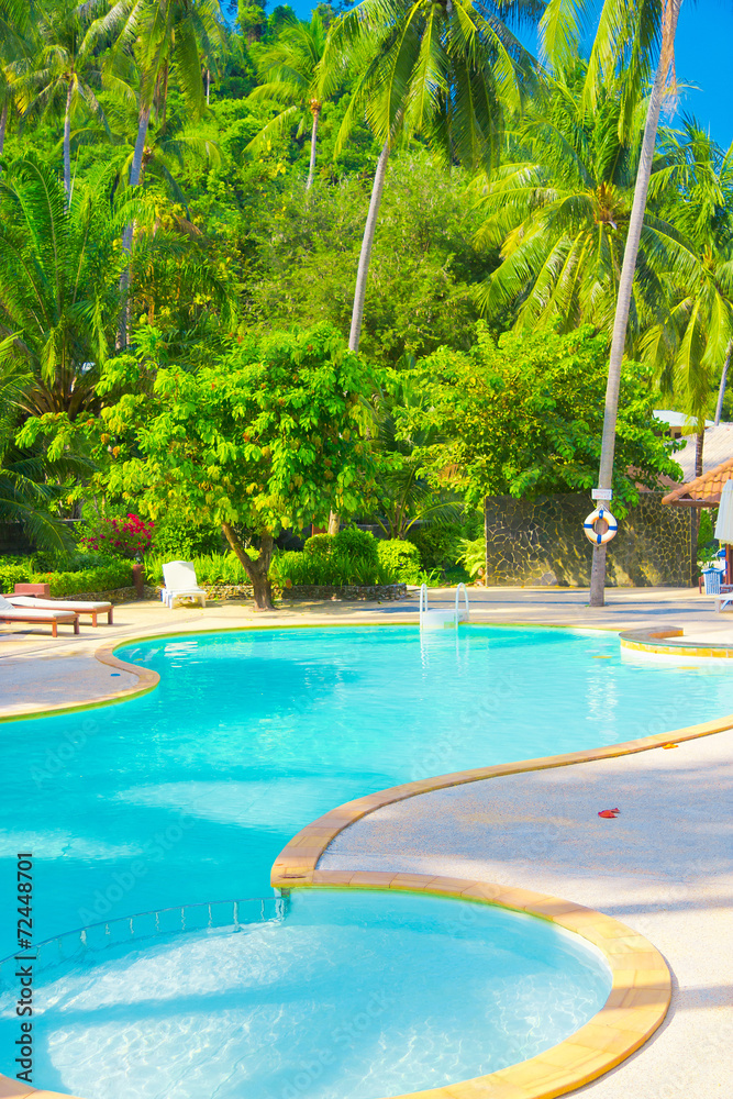 Paradise Pool Tourist Dream