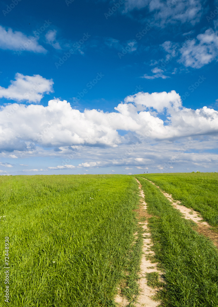 Way Ahead Acres Wild Way Ahead Acres Wild