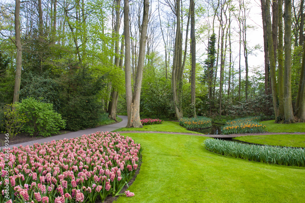 Obraz premium Parco verde in Olanda