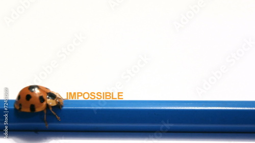 ladybug, beatle push The word impossible change to Possible.