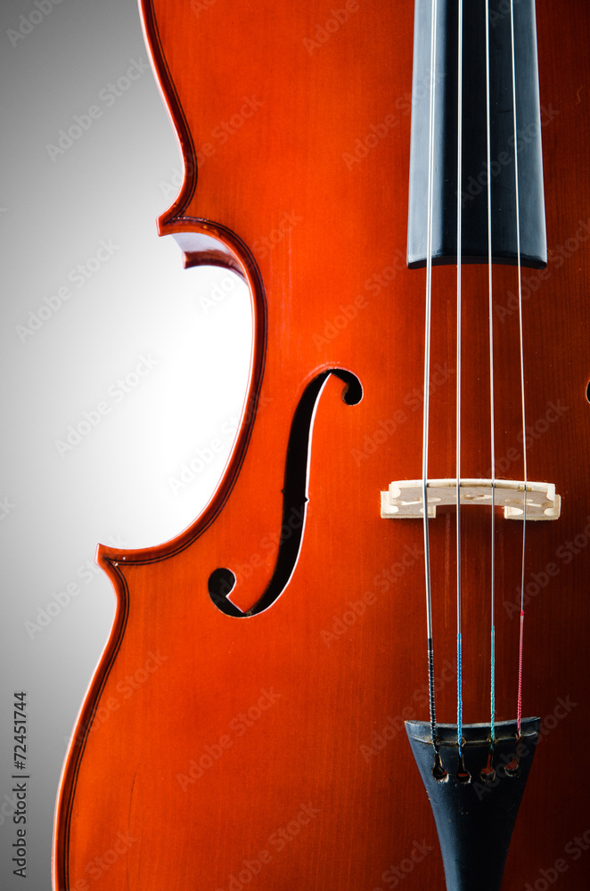 Violin isolated on the white background Violin isolated on the white background