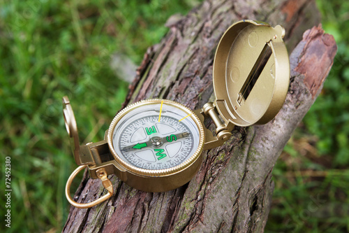 compass on tree outdoor