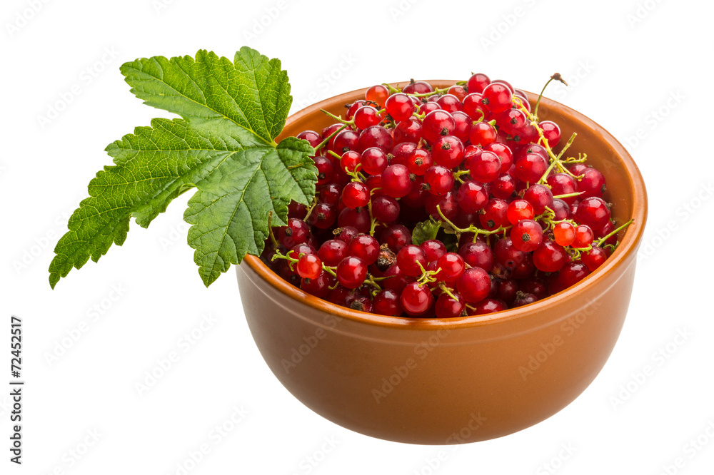 Red currant Red currant