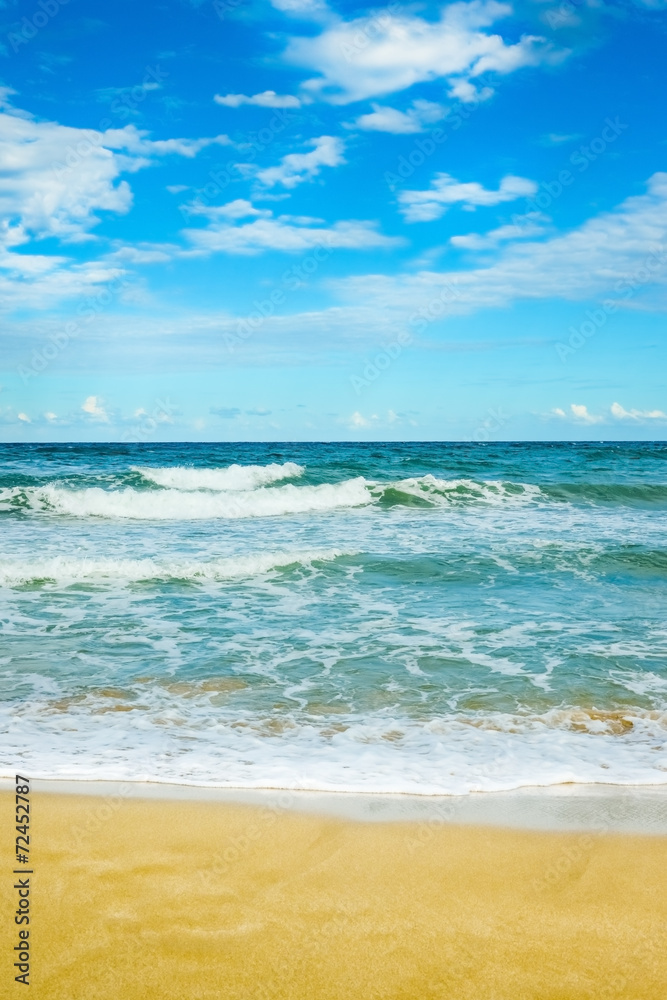 sandy sea beach