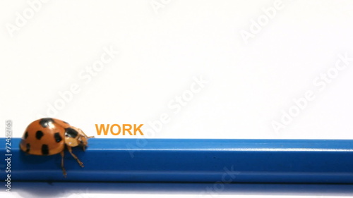 ladybug, beatle push The word Work change to Holiday.