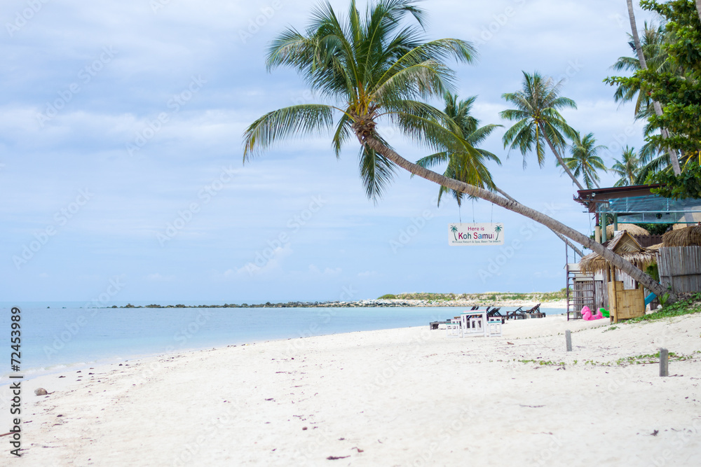 Palm beach landscape on Samui island