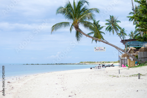 Palm beach landscape on Samui island