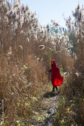 Girl in a red cloak in the lap of nature