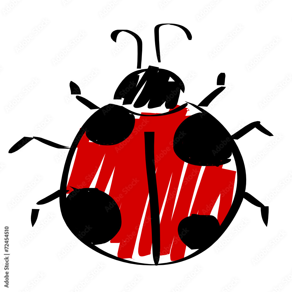 Coccinella