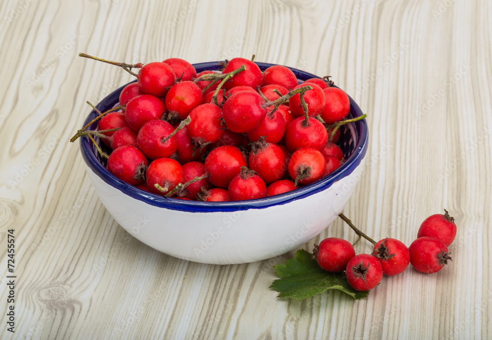Hawthorn Hawthorn