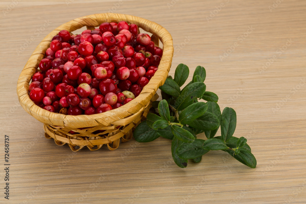 Cowberry Cowberry