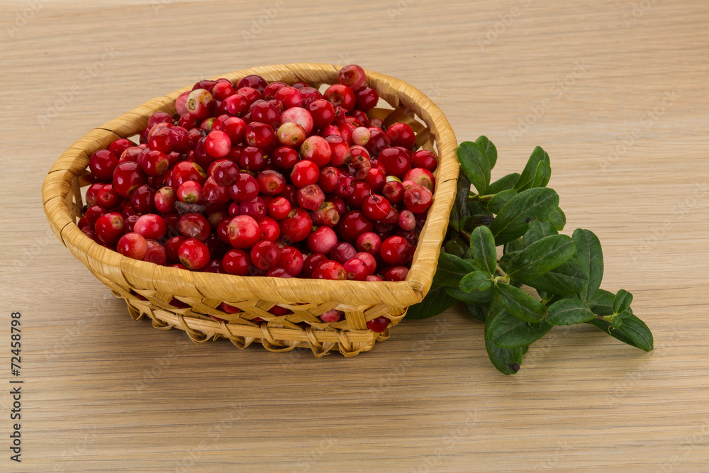 Cowberry Cowberry