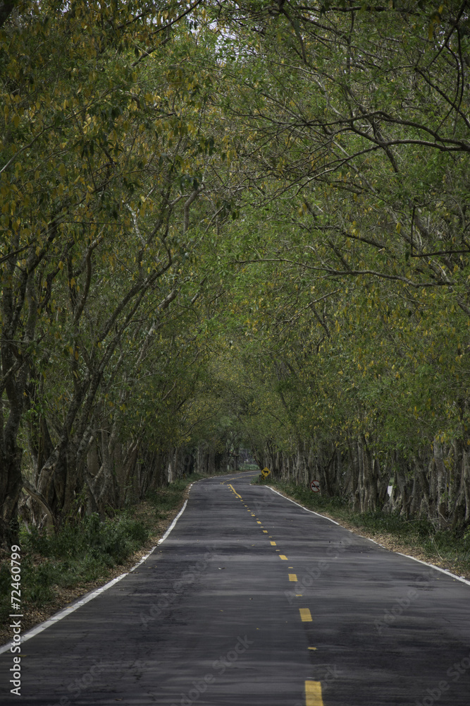 Caminho Caminho