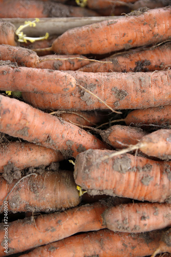 carottes en vrac