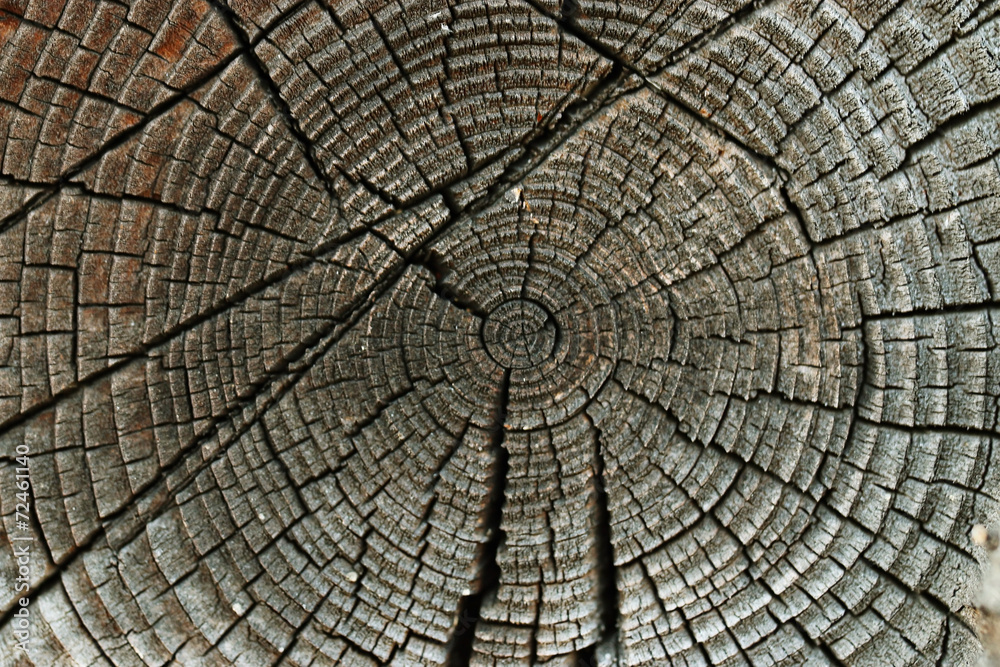 old wood texture background circle