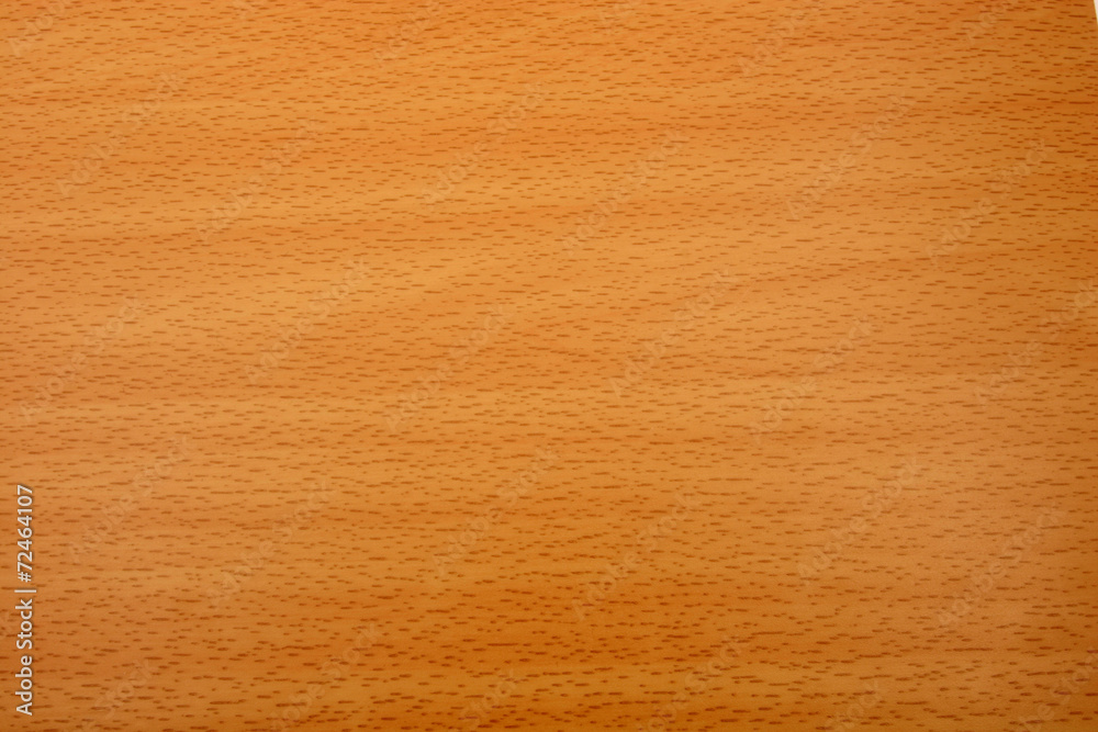 Beech wood grain texture Beech wood grain texture