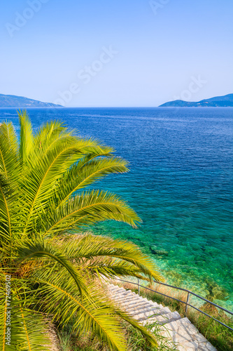 Palm tree and steps leading to beautiful beach, Kefalonia island photo