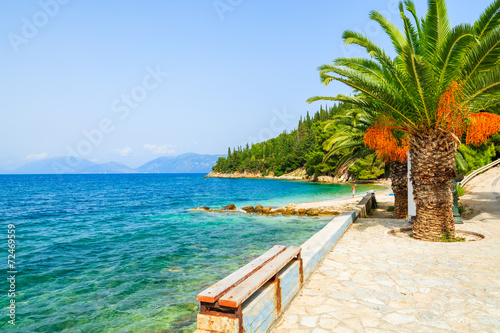 Palm tree on small beach in Sami village, Kefalonia island photo