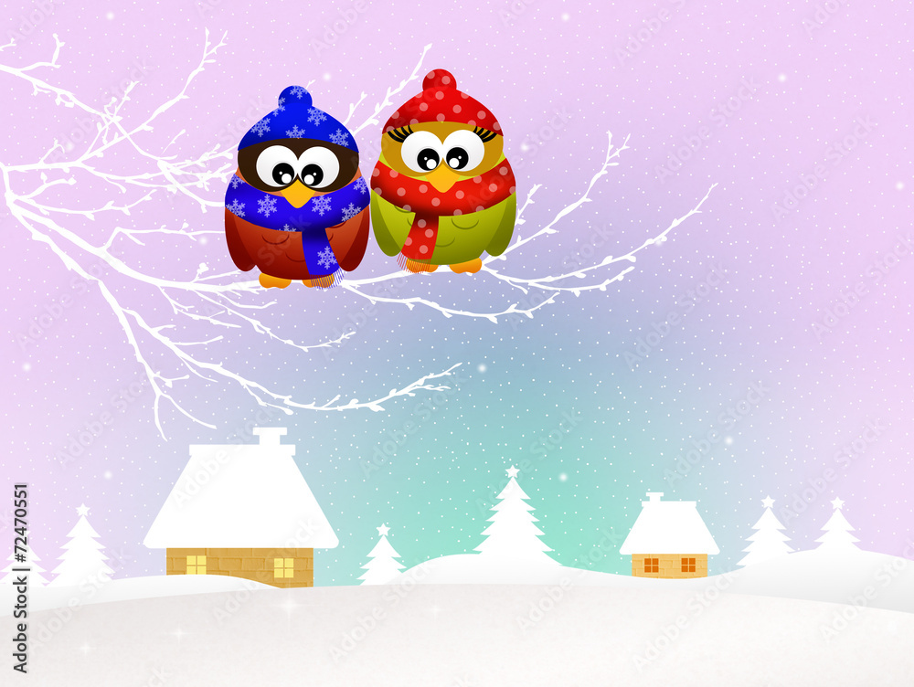 owls in winter owls in winter