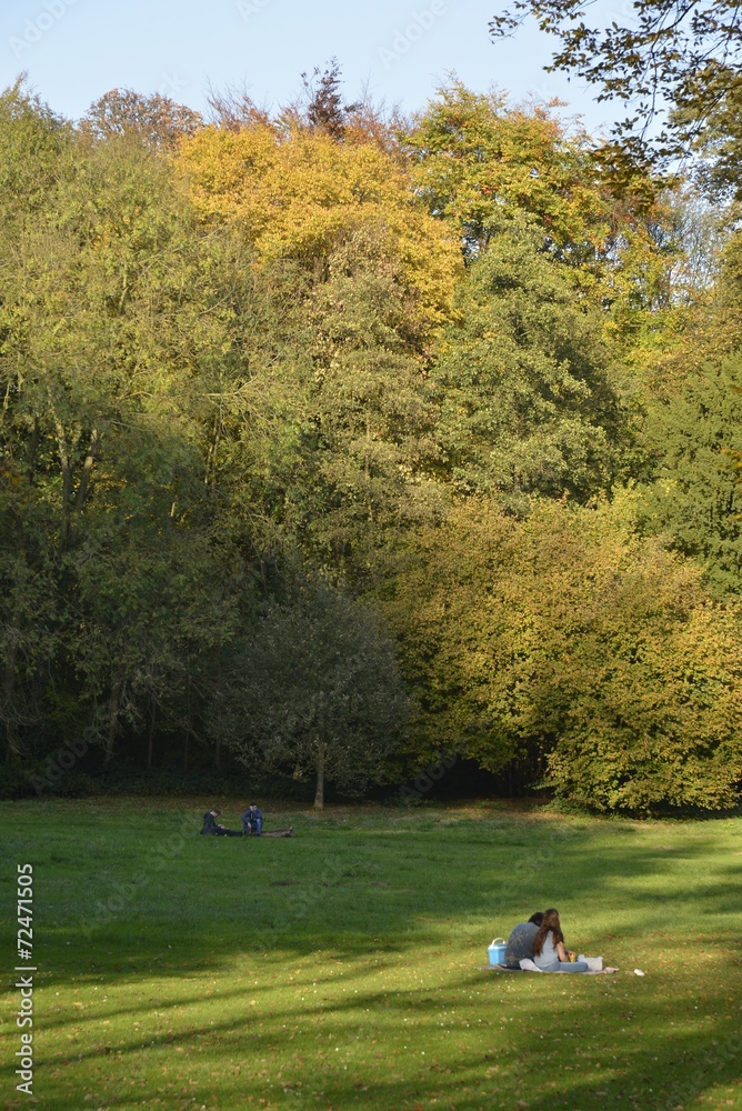 Détente dans l'une des clairières du parc Roi Baudoin Détente dans l'une des clairières du parc Roi Baudoin