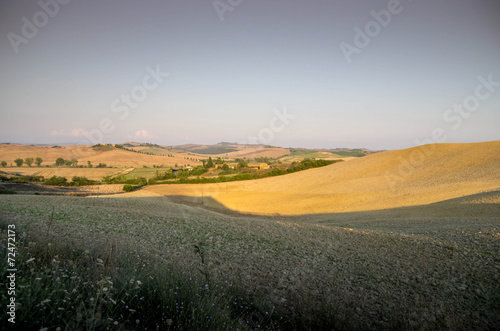 prairie toscane crete senesi